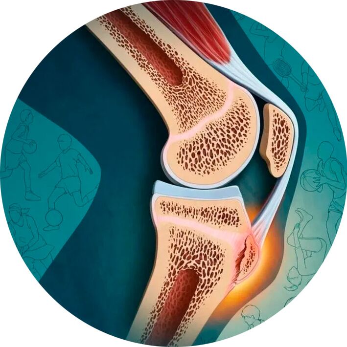 Eklem ve çevre dokuların yapısı